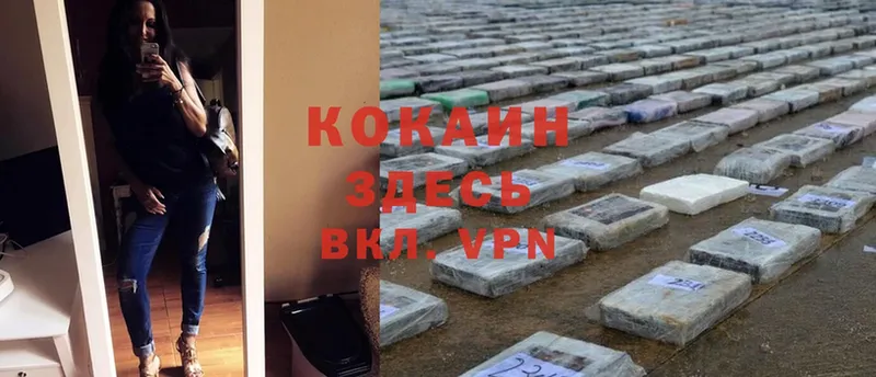 Cocaine Эквадор  Тавда 